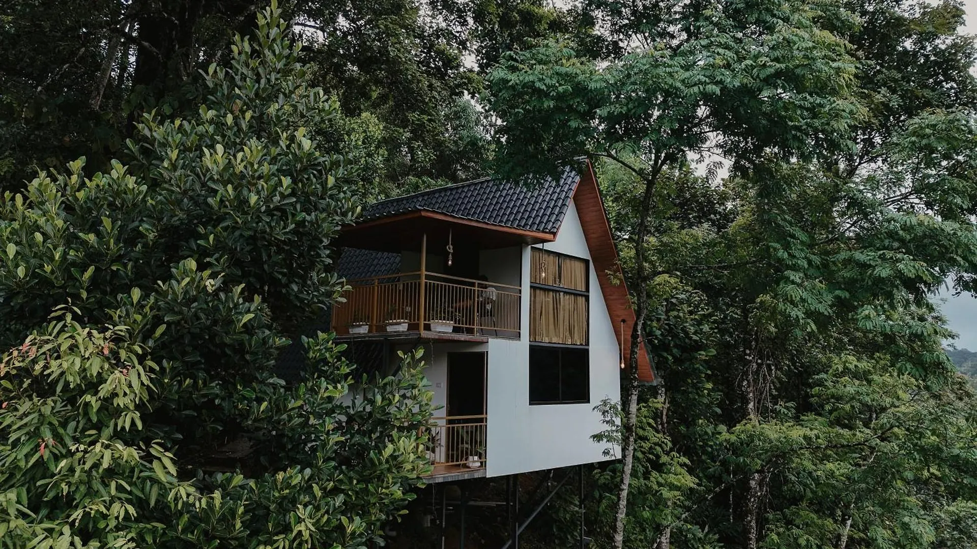 Hotel Wild Stories Resort Munnar