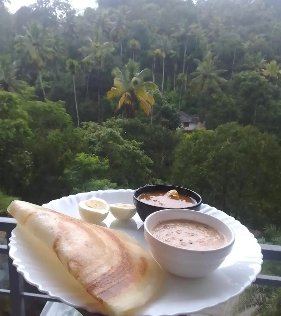 Wild Stories Resort Munnar 3*,  India