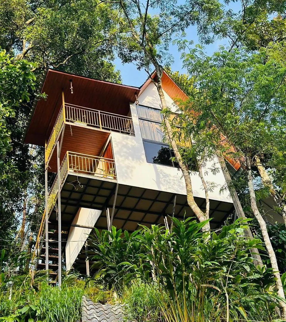 Wild Stories Resort Munnar 3*,  India