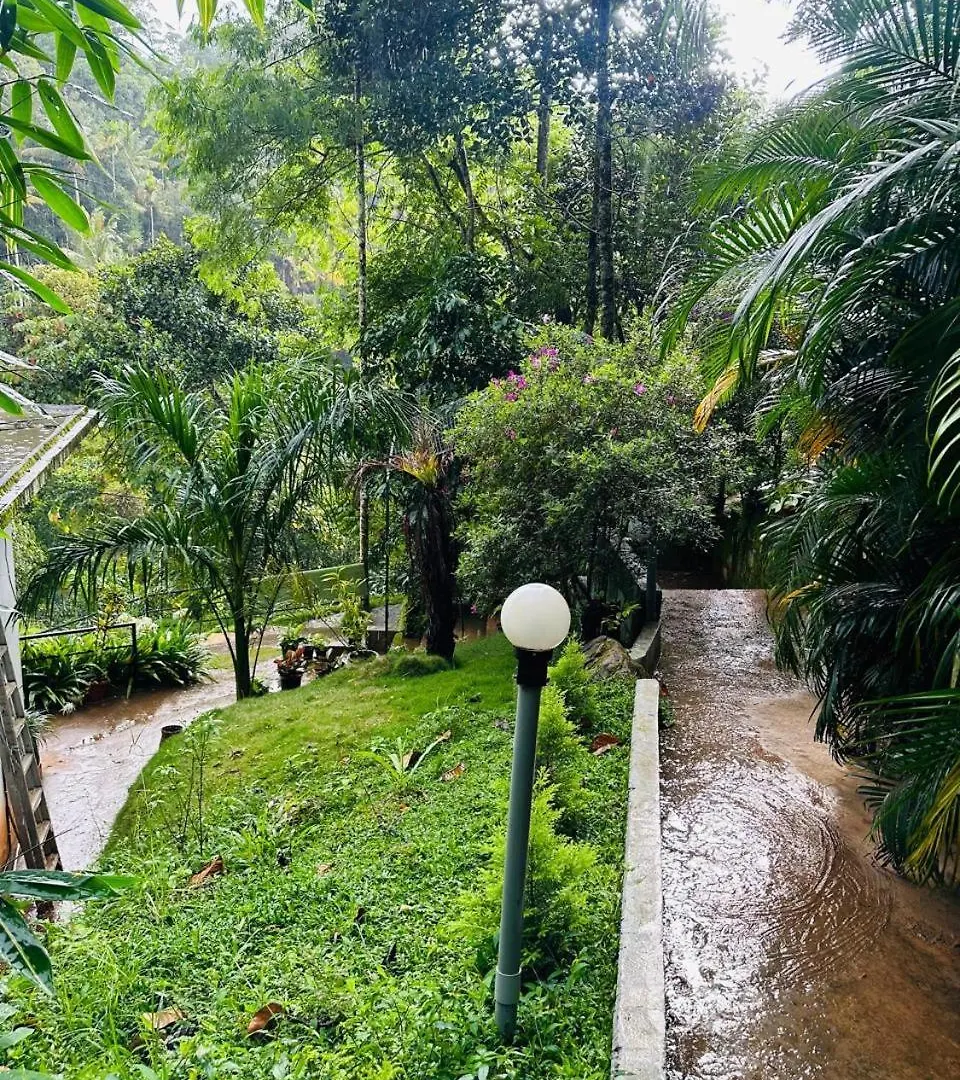 Wild Stories Resort Munnar