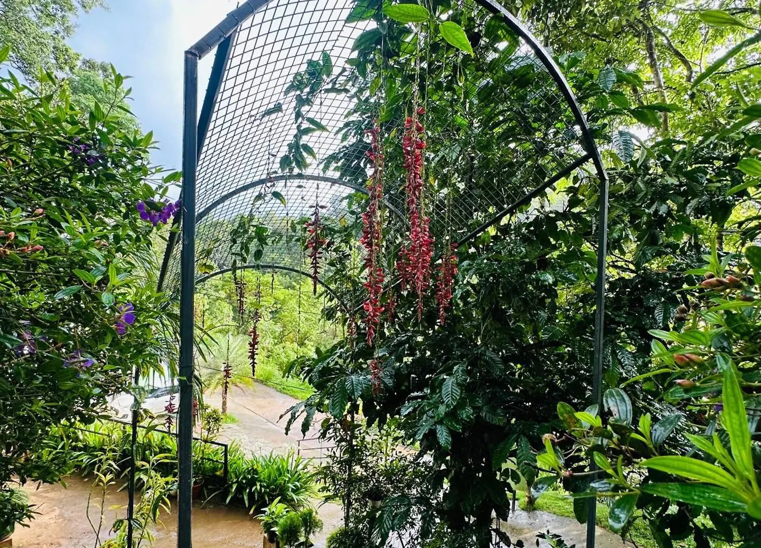 Hotel Wild Stories Resort Munnar