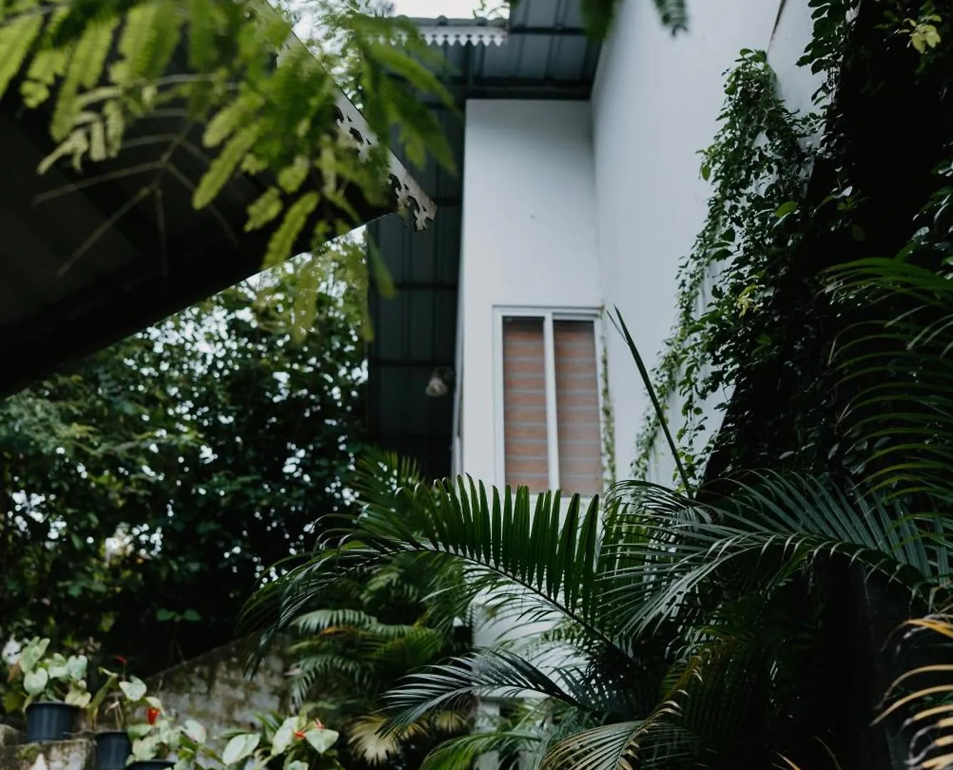 Wild Stories Resort Munnar India