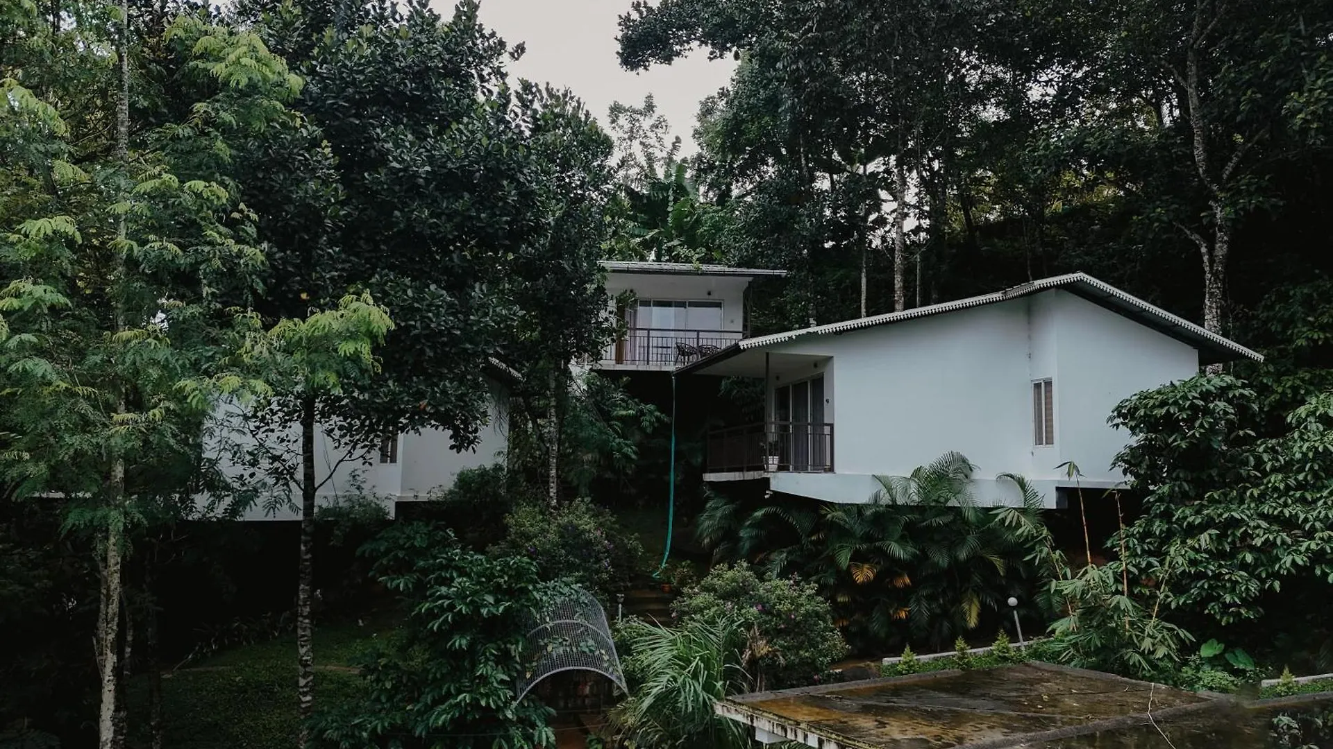 Wild Stories Resort Munnar Hotel