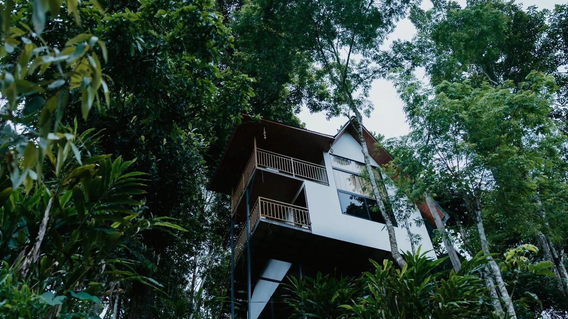Wild Stories Resort Munnar