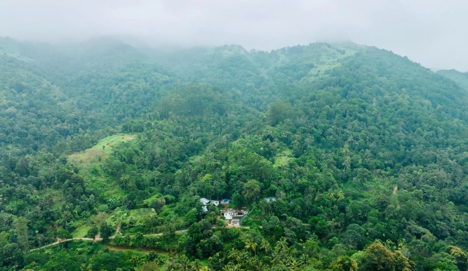 Hotel Wild Stories Resort Munnar