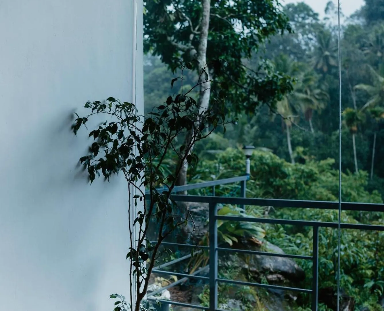 Wild Stories Resort Munnar Hotel