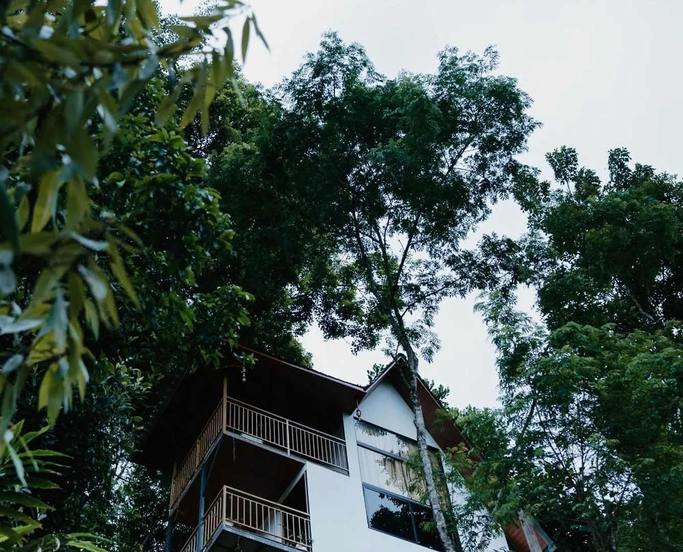 *** Hotel Wild Stories Resort Munnar India