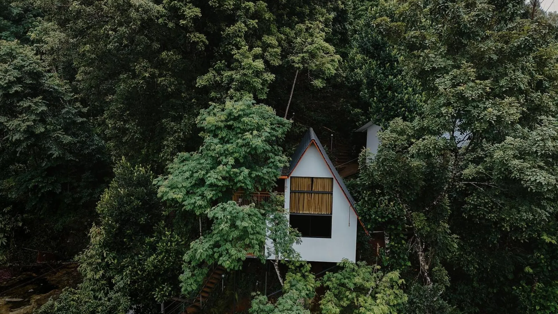Wild Stories Resort Munnar Hotel