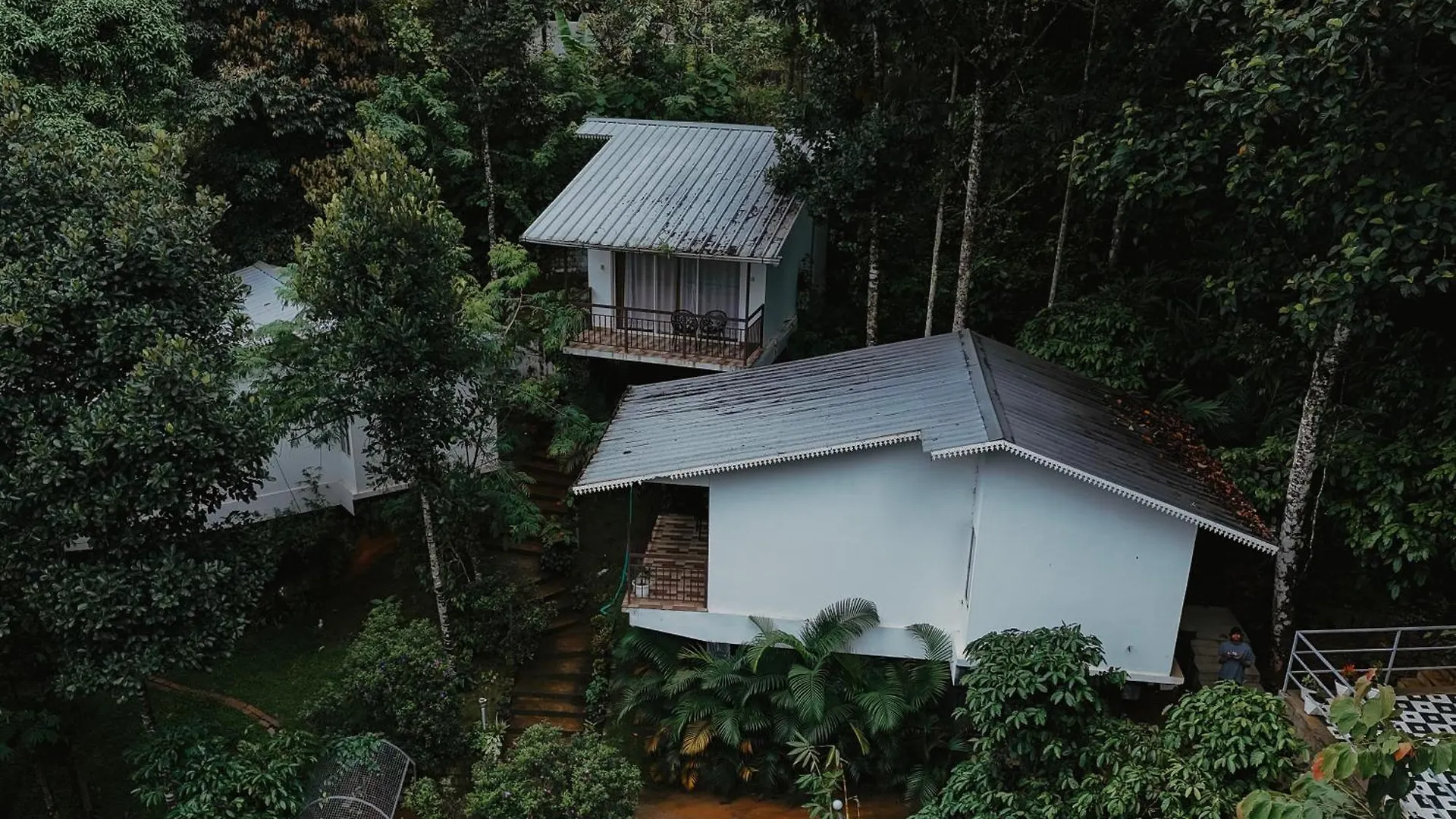 Wild Stories Resort Munnar