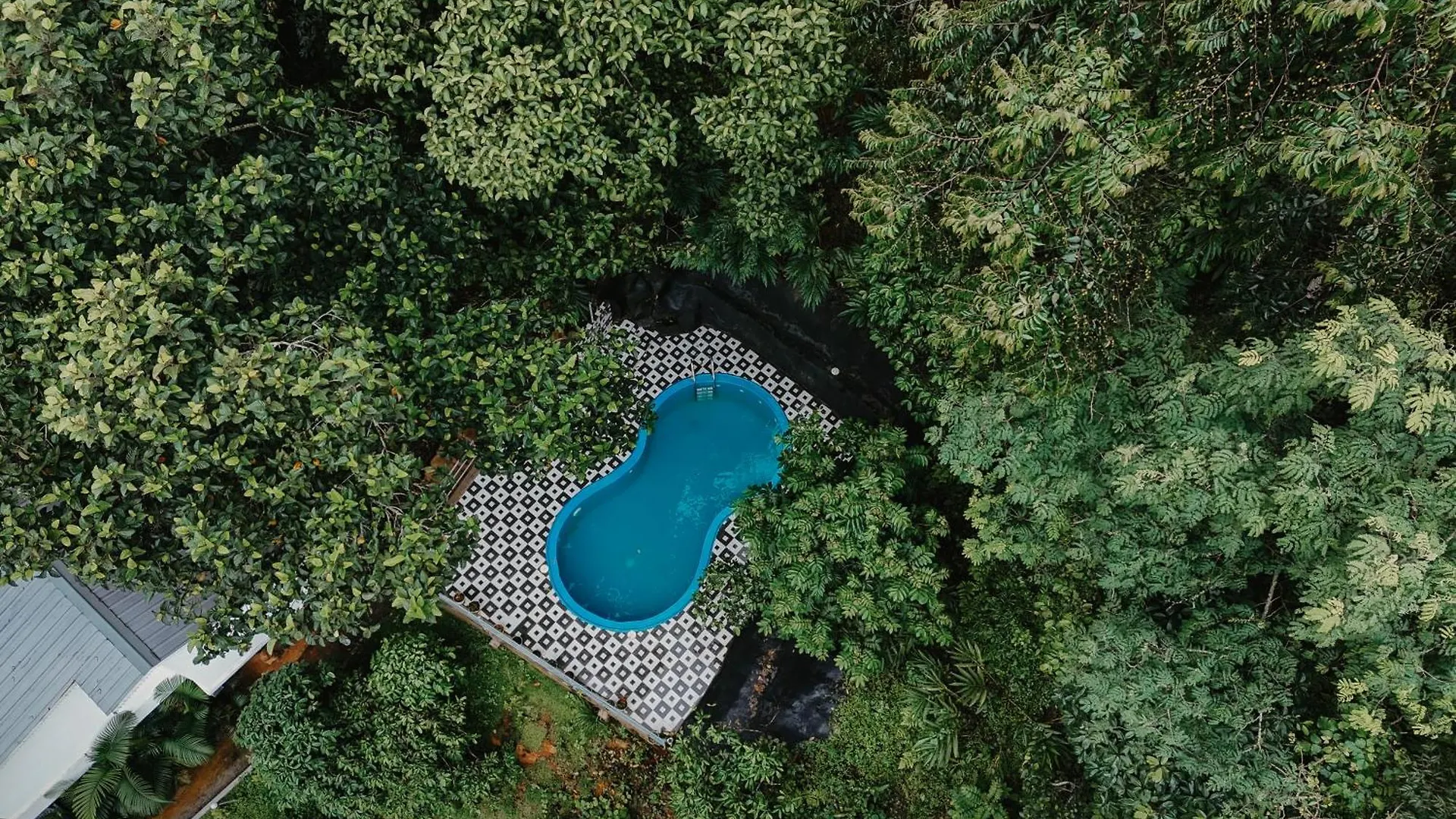 Hotel Wild Stories Resort Munnar