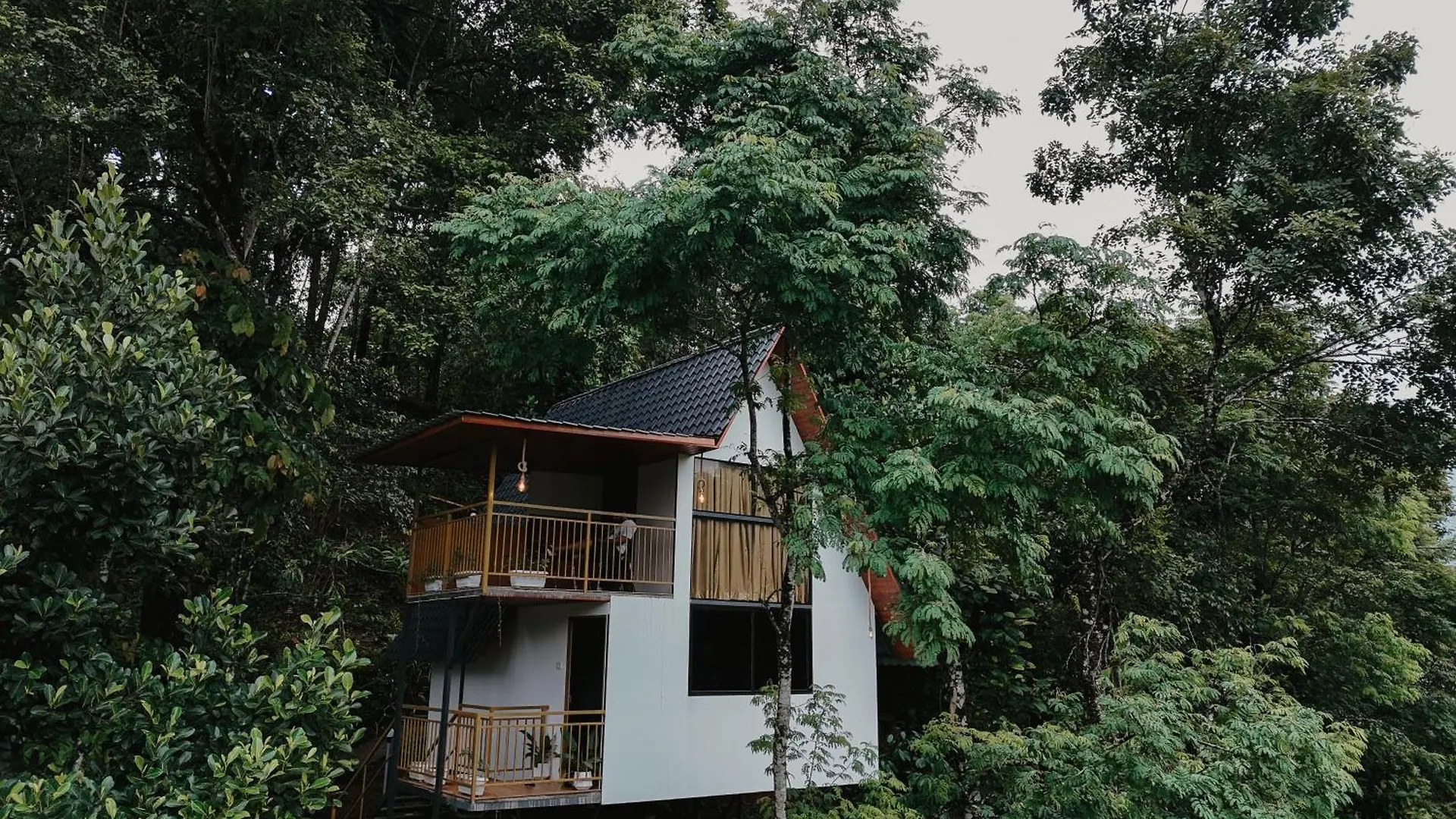 Wild Stories Resort Munnar India