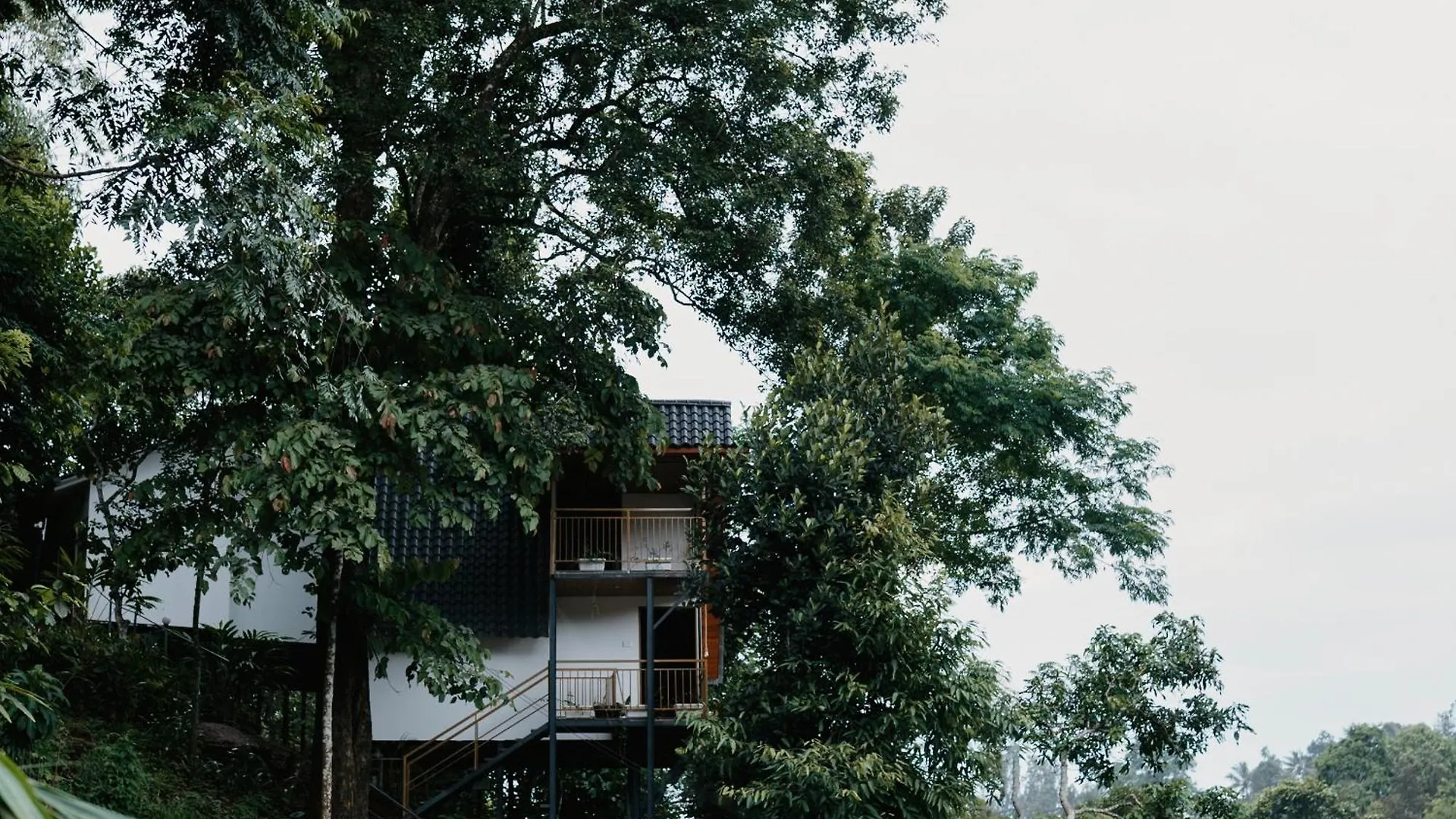 Wild Stories Resort Munnar India