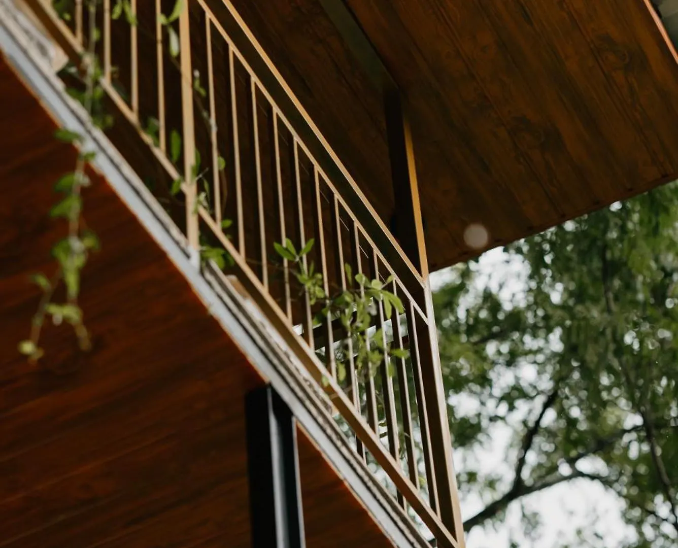 Wild Stories Resort Munnar