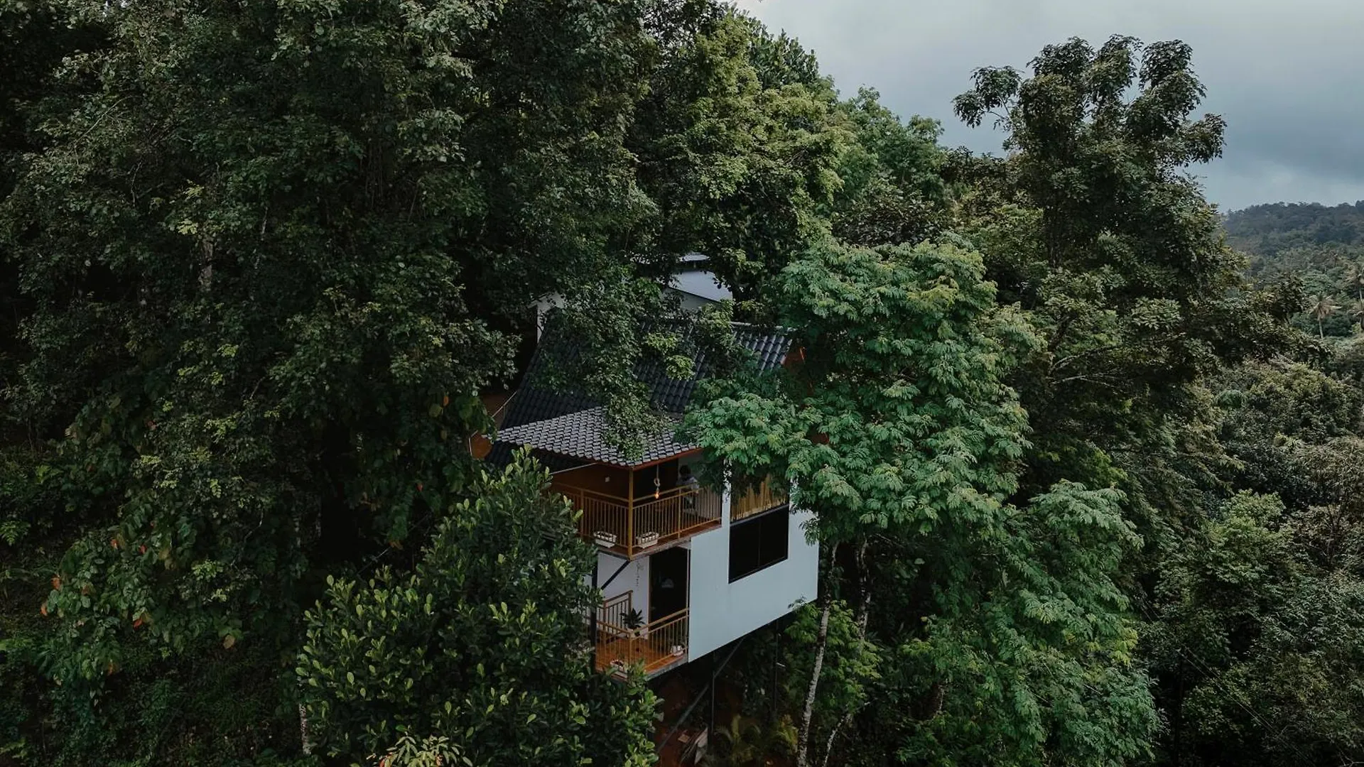 Wild Stories Resort Munnar